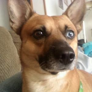 Meet your Posher, Mike